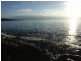 White Beach TAS 7184