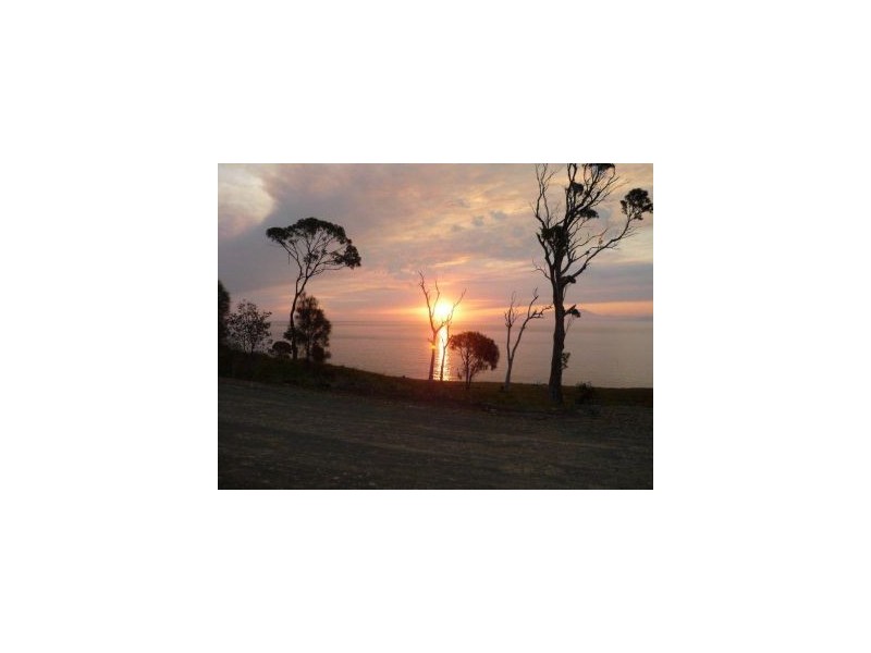 White Beach TAS 7184