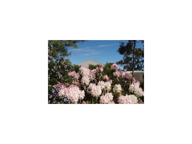 30 Apex Point Road, White Beach TAS 7184