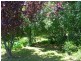 231  Saltwater River Rd, Premaydena TAS 7185