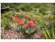 591 Marion Bay Road, Marion Bay TAS 7175