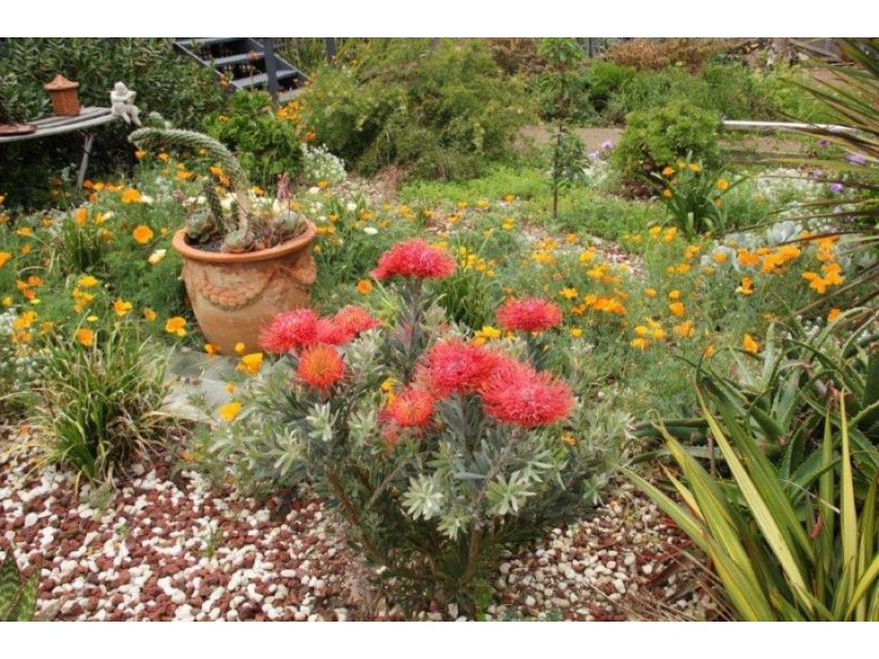 591 Marion Bay Road, Marion Bay TAS 7175