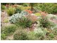 591 Marion Bay Road, Marion Bay TAS 7175