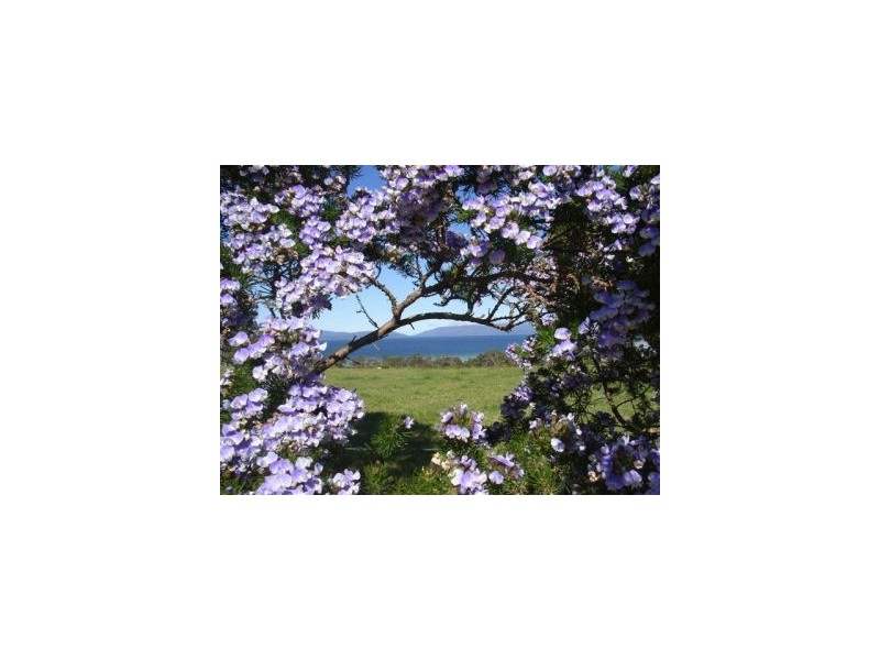 Saltwater River TAS 7186