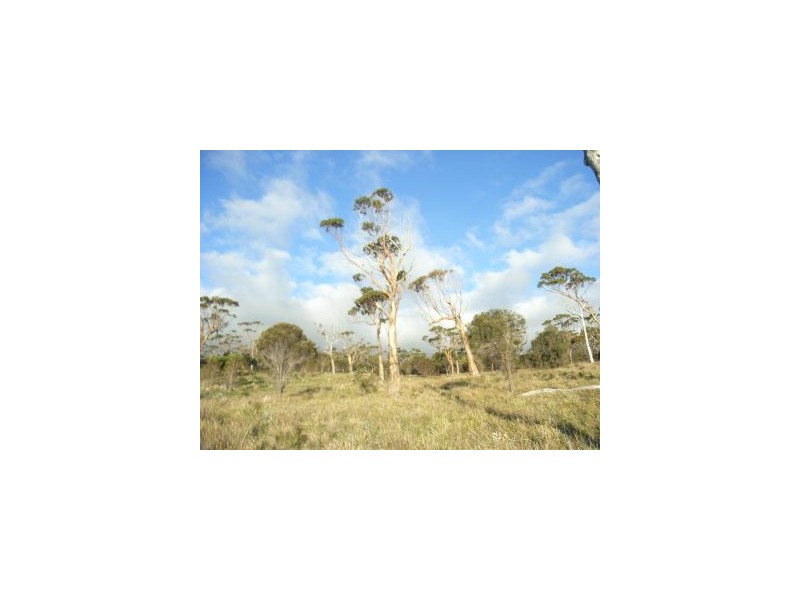 Lot 7 White Beach Rd, White Beach TAS 7184