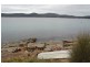 White Beach TAS 7184