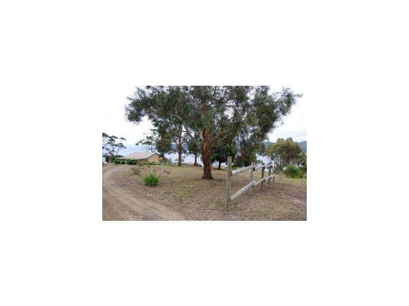 White Beach TAS 7184