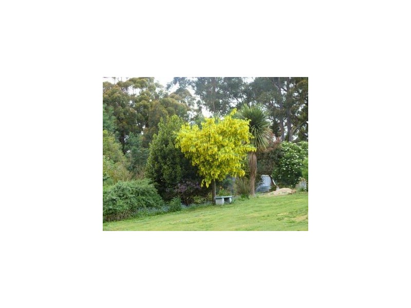 6427a Arthur Hwy, Port Arthur TAS 7182