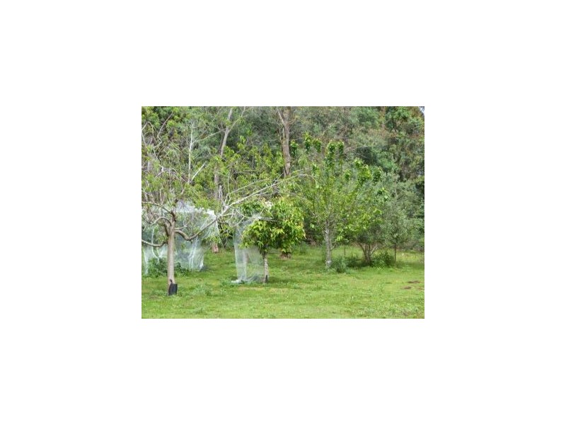 6427a Arthur Hwy, Port Arthur TAS 7182