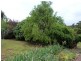 6427a Arthur Hwy, Port Arthur TAS 7182