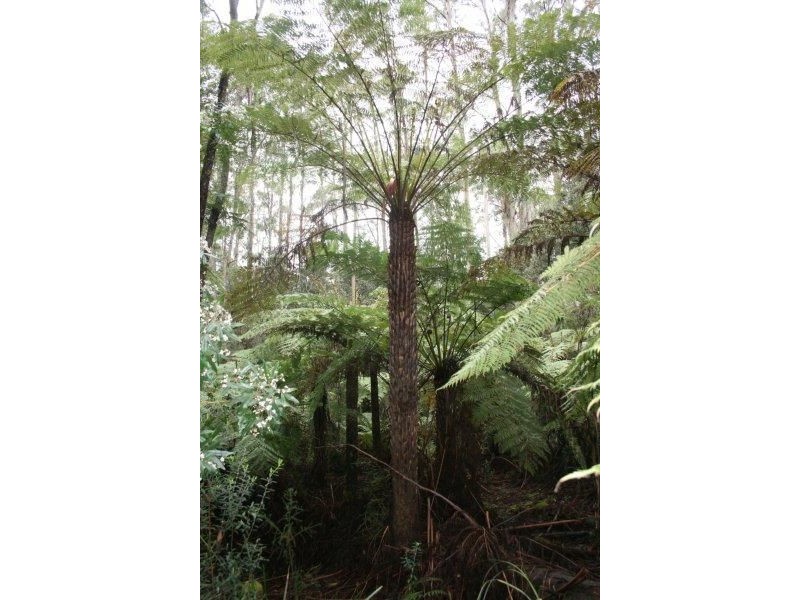 6427a Arthur Hwy, Port Arthur TAS 7182