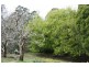 6427a Arthur Hwy, Port Arthur TAS 7182