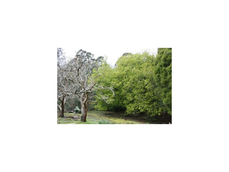 6427a Arthur Hwy, Port Arthur TAS 7182
