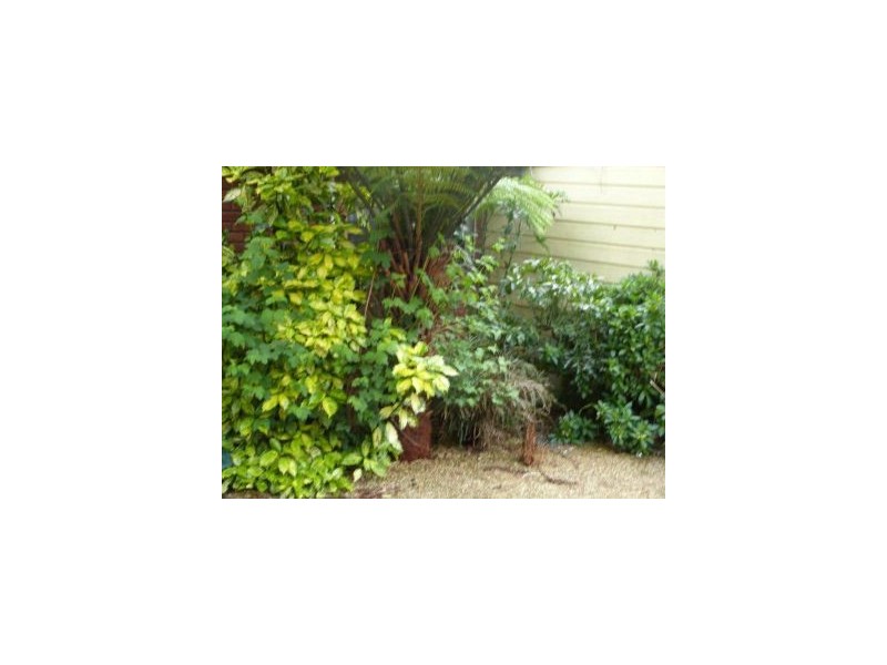 6427a Arthur Hwy, Port Arthur TAS 7182