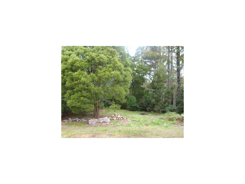 6427a Arthur Hwy, Port Arthur TAS 7182
