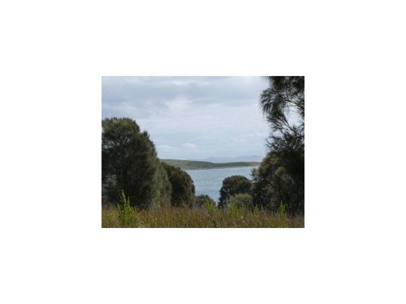 Lot 8 White Beach Rd, White Beach TAS 7184