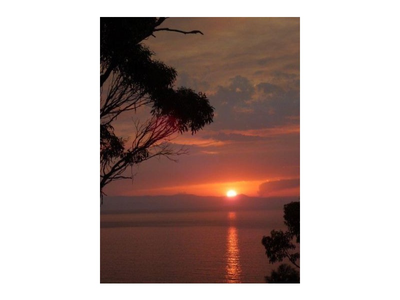 Lot 8 White Beach Rd, White Beach TAS 7184