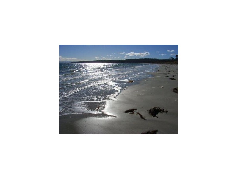 139 Sloping Main Drive, Sloping Main TAS 7186