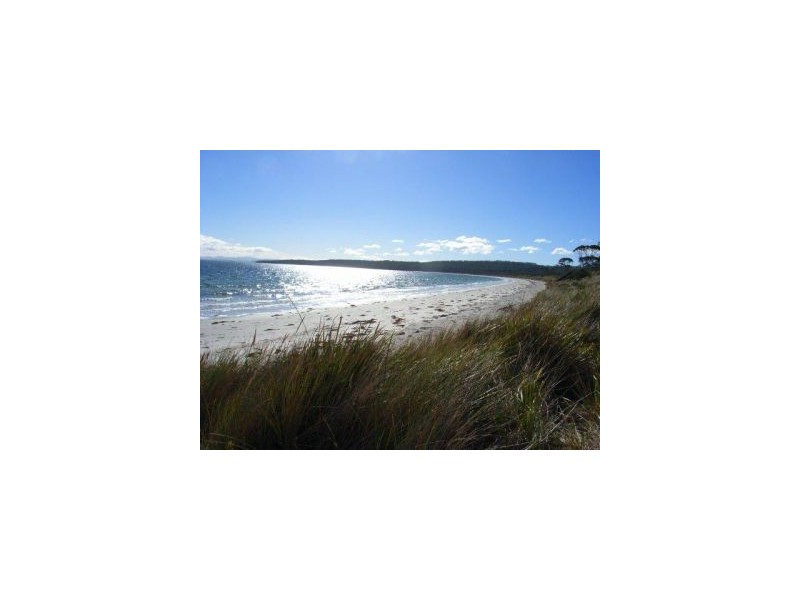 139 Sloping Main Drive, Sloping Main TAS 7186