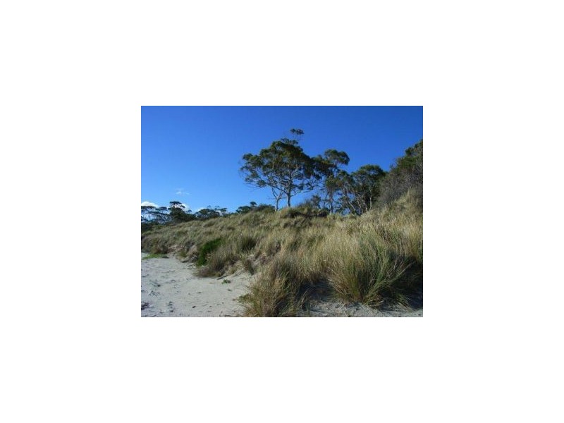 139 Sloping Main Drive, Sloping Main TAS 7186