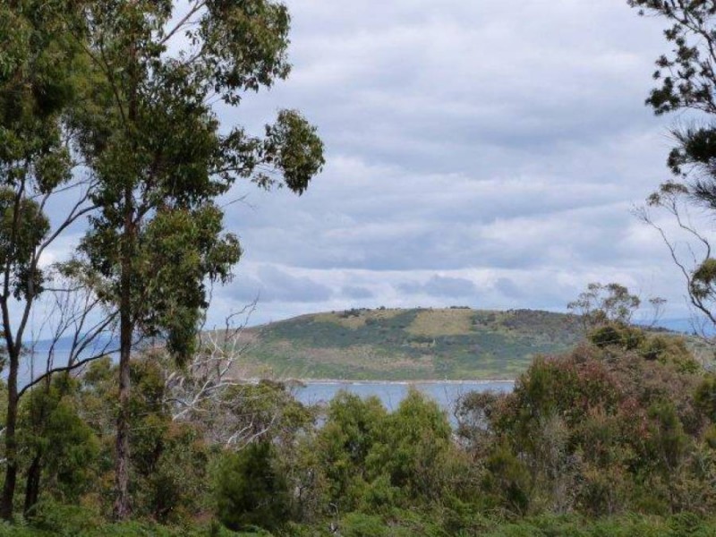 Lot 1 /8 Skeggs Avenue, White Beach TAS 7184