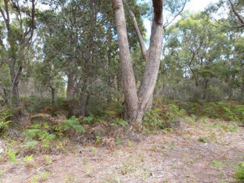 Lot 1 /8 Skeggs Avenue, White Beach TAS 7184