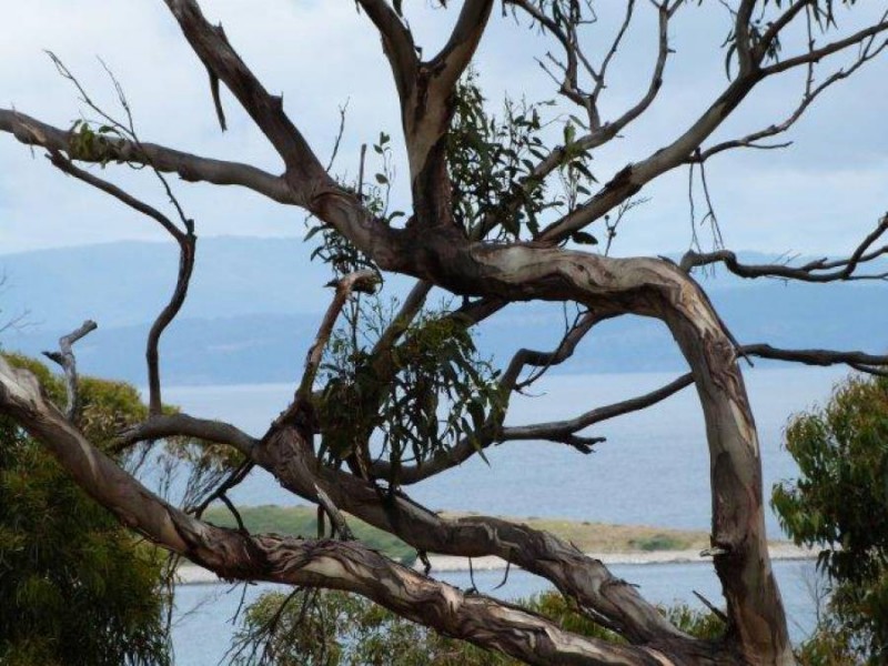 Lot 1 /8 Skeggs Avenue, White Beach TAS 7184