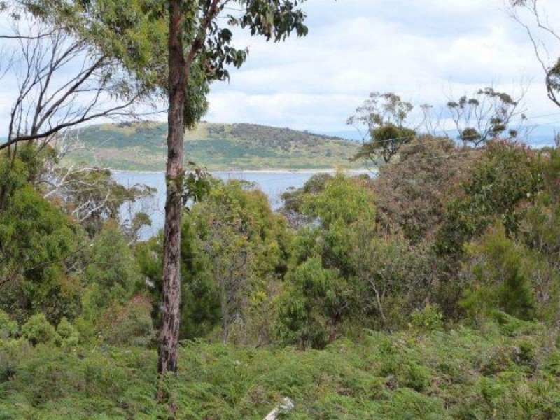 Lot 1 /8 Skeggs Avenue, White Beach TAS 7184
