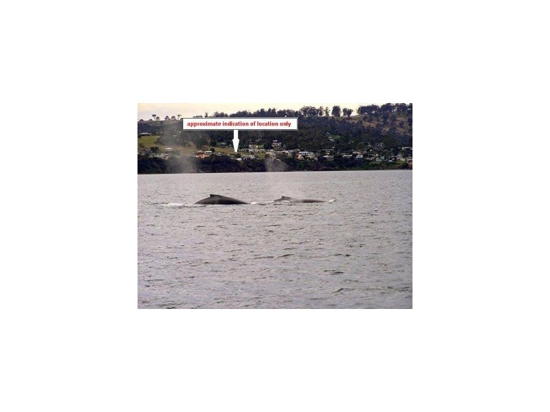 51 Linden Road, Primrose Sands TAS 7173