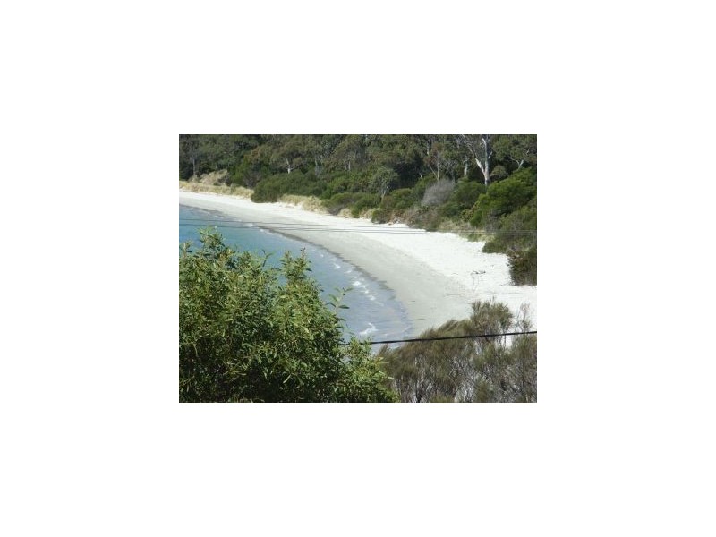 385 White Beach Rd, White Beach TAS 7184