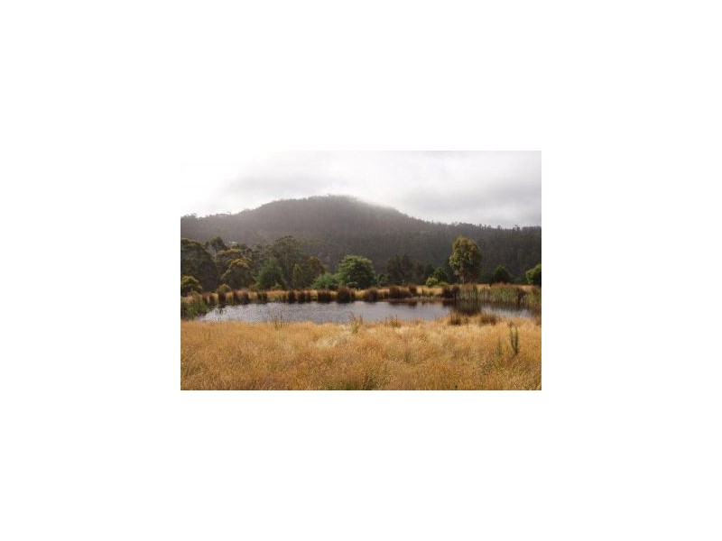 L1 Clearys Lane, Bream Creek TAS 7175