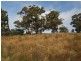 L1 Clearys Lane, Bream Creek TAS 7175