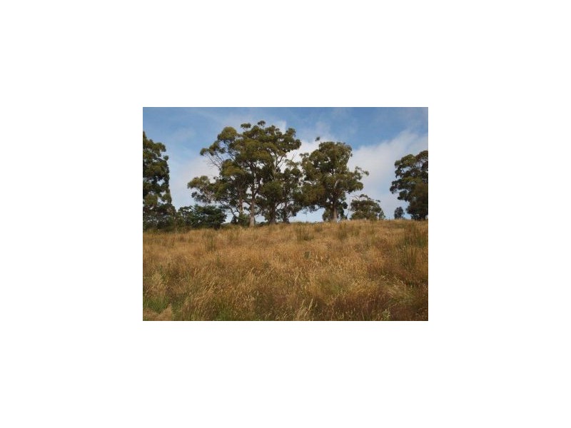 L1 Clearys Lane, Bream Creek TAS 7175