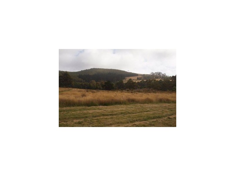 L1 Clearys Lane, Bream Creek TAS 7175