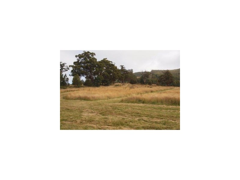 L1 Clearys Lane, Bream Creek TAS 7175