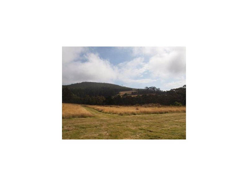 L1 Clearys Lane, Bream Creek TAS 7175