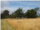 L1 Clearys Lane, Bream Creek TAS 7175