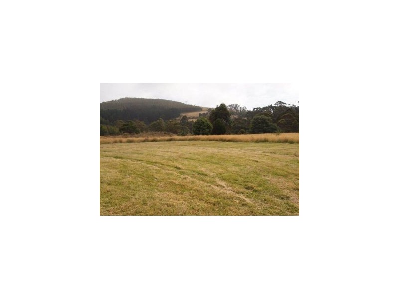 L1 Clearys Lane, Bream Creek TAS 7175