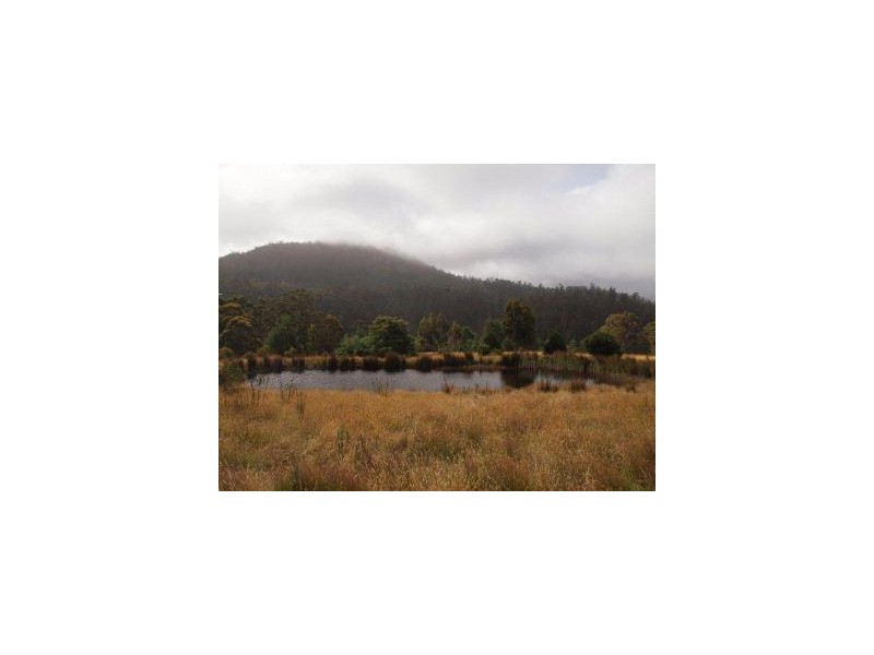 L1 Clearys Lane, Bream Creek TAS 7175