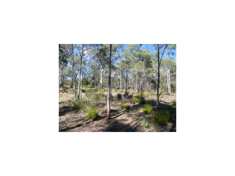 Lot 1 Weilangta Rd, Orford TAS 7190