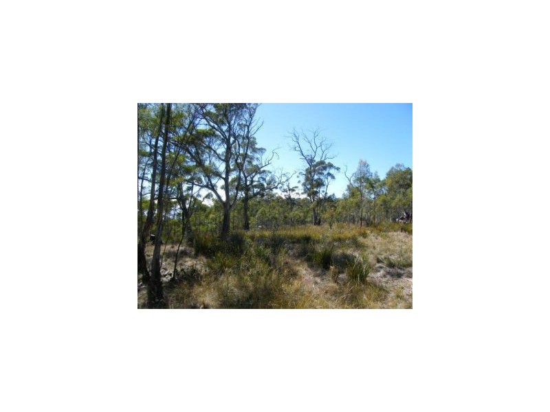 Lot 1 Weilangta Rd, Orford TAS 7190