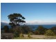 116 Blowhole Rd, Eaglehawk Neck TAS 7179