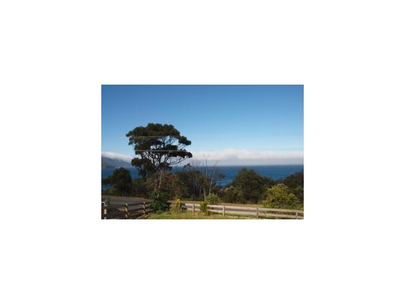 116 Blowhole Rd, Eaglehawk Neck TAS 7179