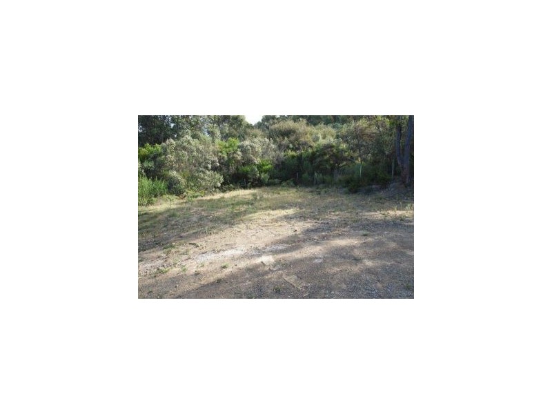 116 Blowhole Rd, Eaglehawk Neck TAS 7179