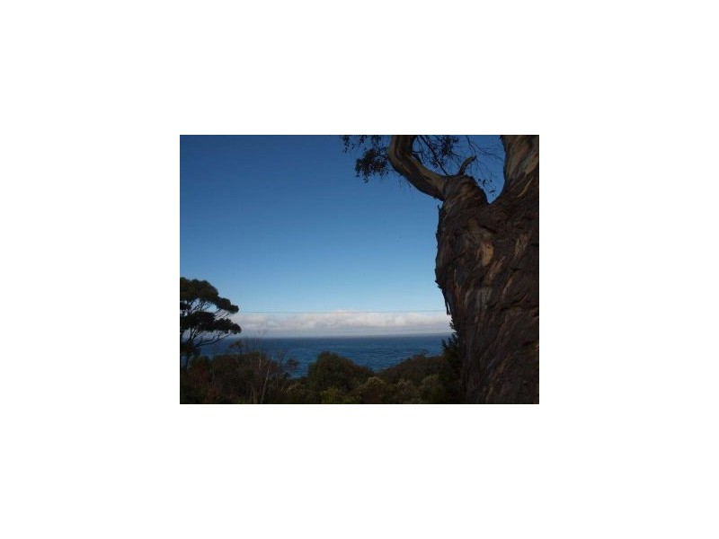 116 Blowhole Rd, Eaglehawk Neck TAS 7179