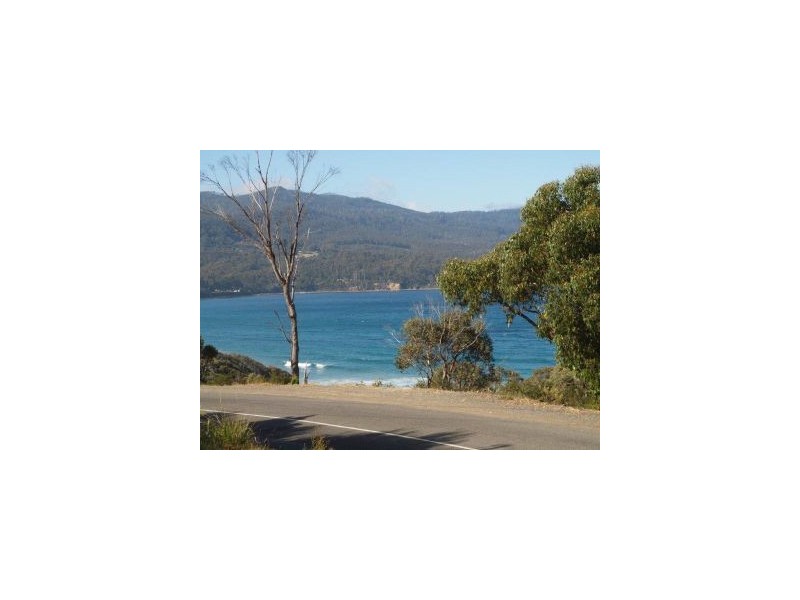 116 Blowhole Rd, Eaglehawk Neck TAS 7179