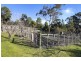 468a Nubeena Rd, Koonya TAS 7187
