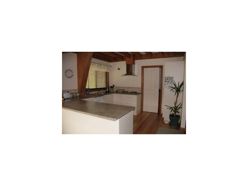 12 Lower Swamp Road, Lachlan TAS 7140