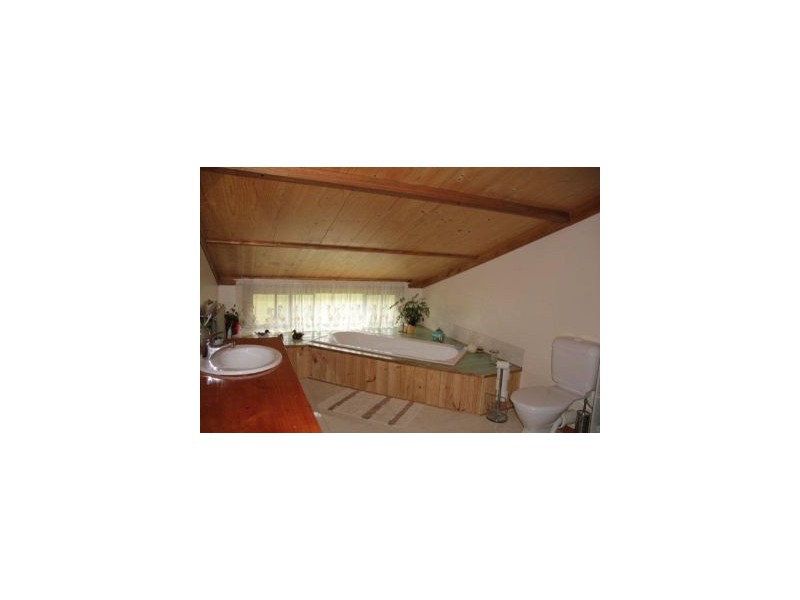 12 Lower Swamp Road, Lachlan TAS 7140