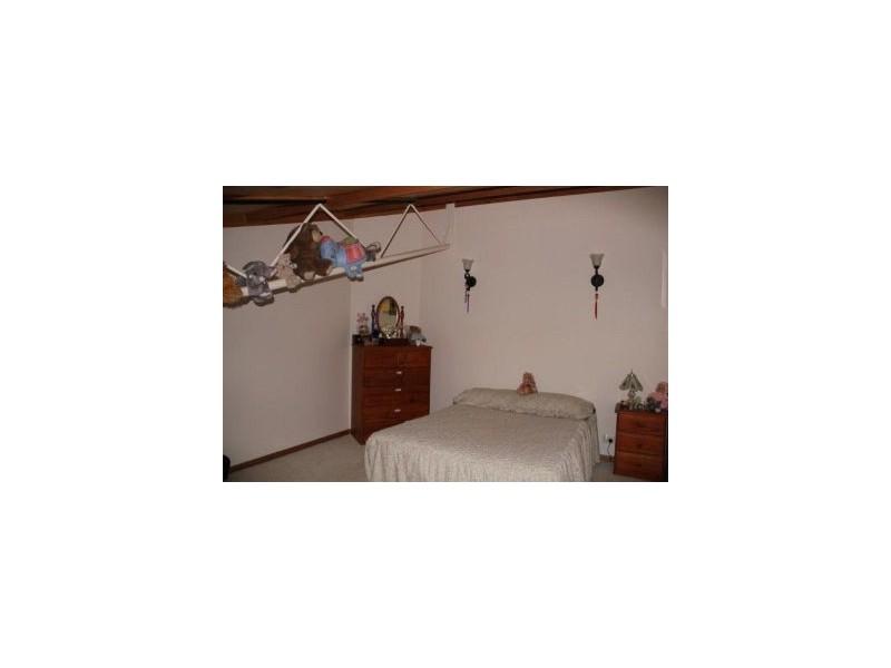 12 Lower Swamp Road, Lachlan TAS 7140